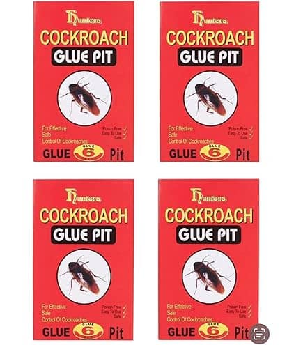 Cockroach Glue Pit