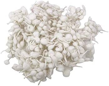 Cotton Round Batti