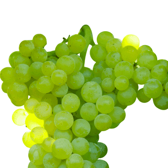 Grapes Green 1lb