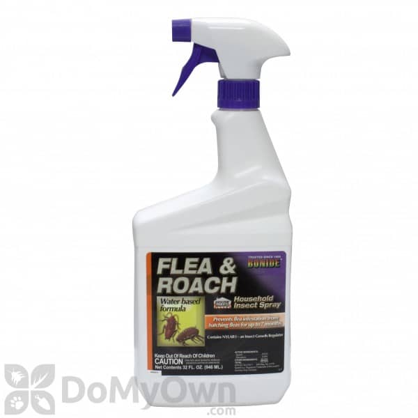 Cockroach Spray