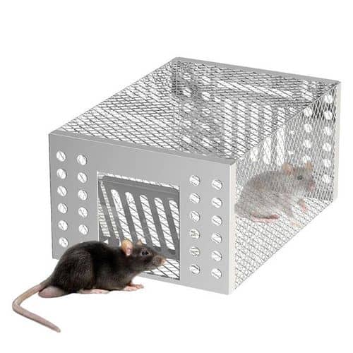 Mouse Trap
