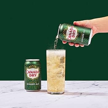 Canada Dry Soft Drink 12x355ml