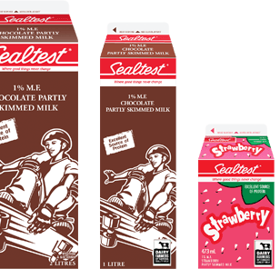 Sealtest Chocolate Milk 473ml