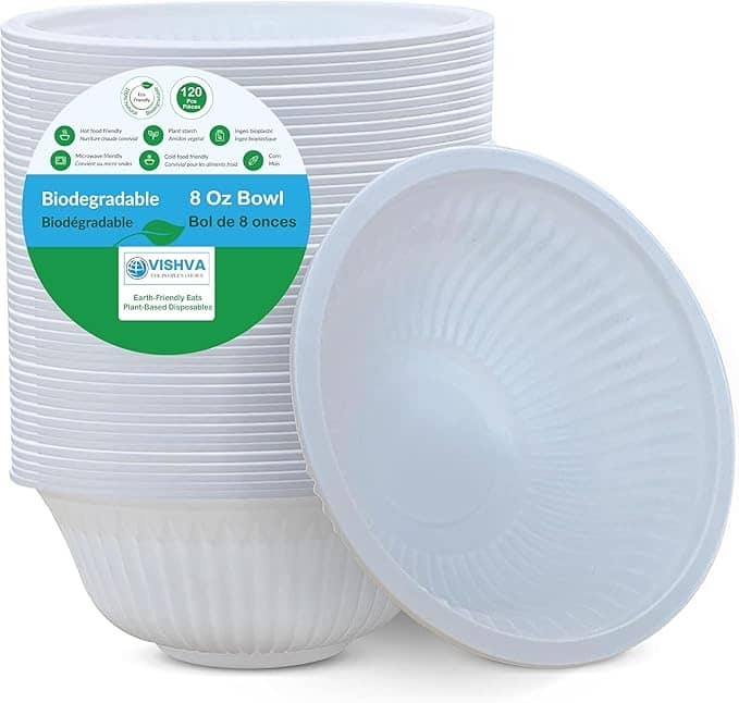 Vishva Disposable 9" Round Plate 20pcs