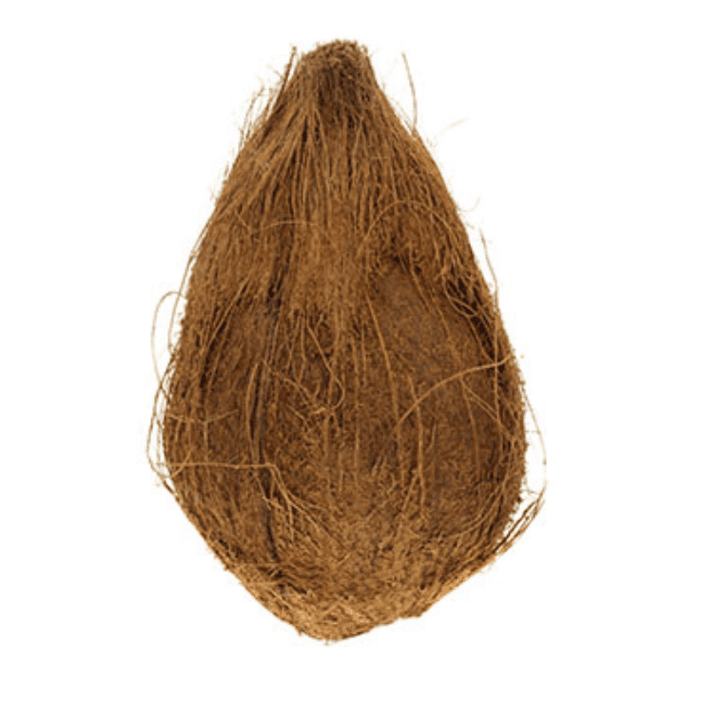 Coconut Pooja