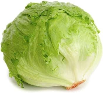 Lettuce Iceberg