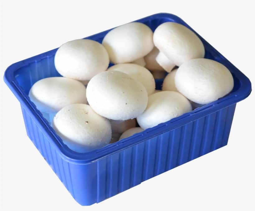 Mushroom Pack