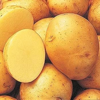Potato 1lb
