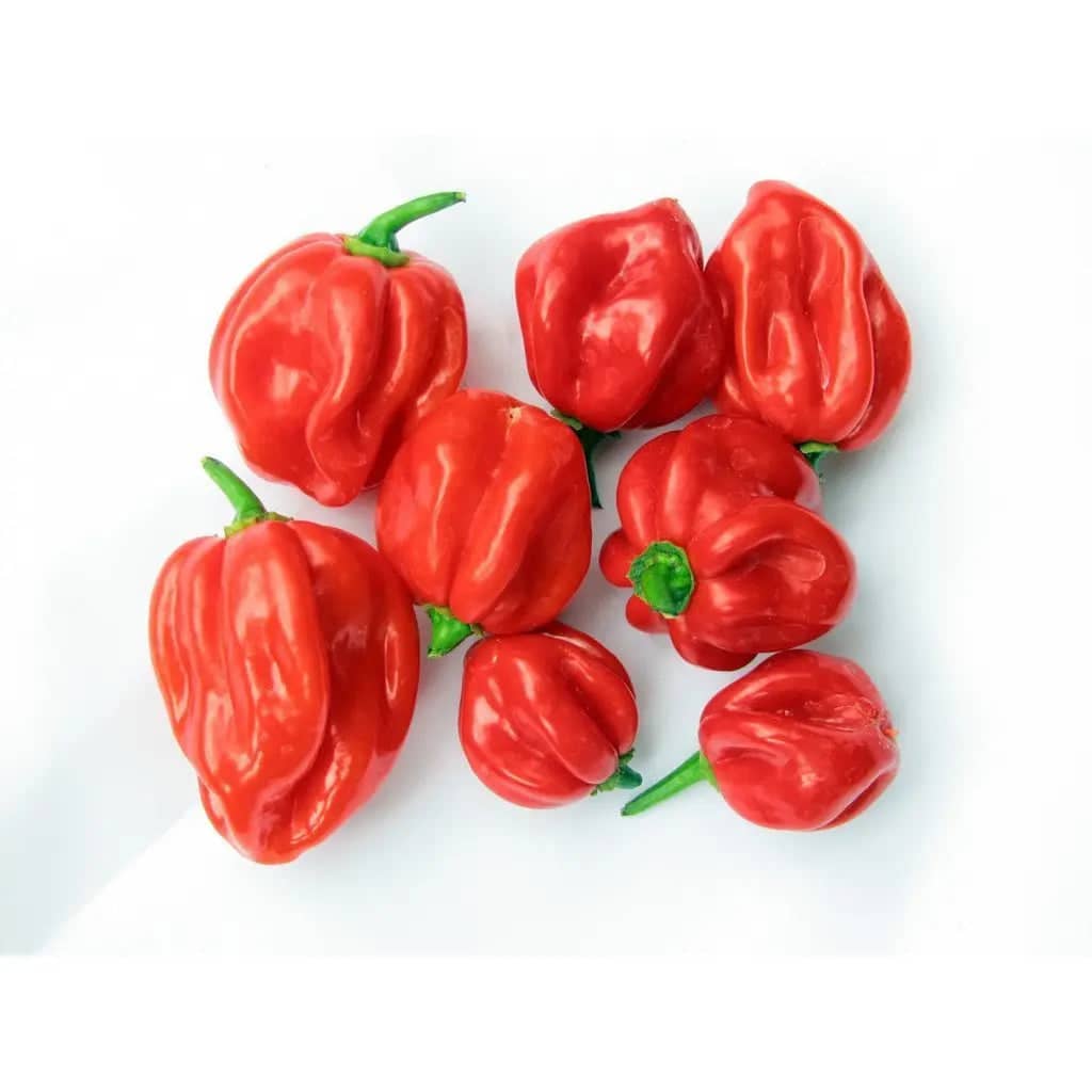 Scotch Red Pepper 1lb