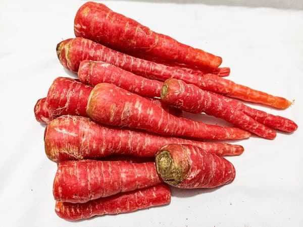 Deep Carrot Red - Produce