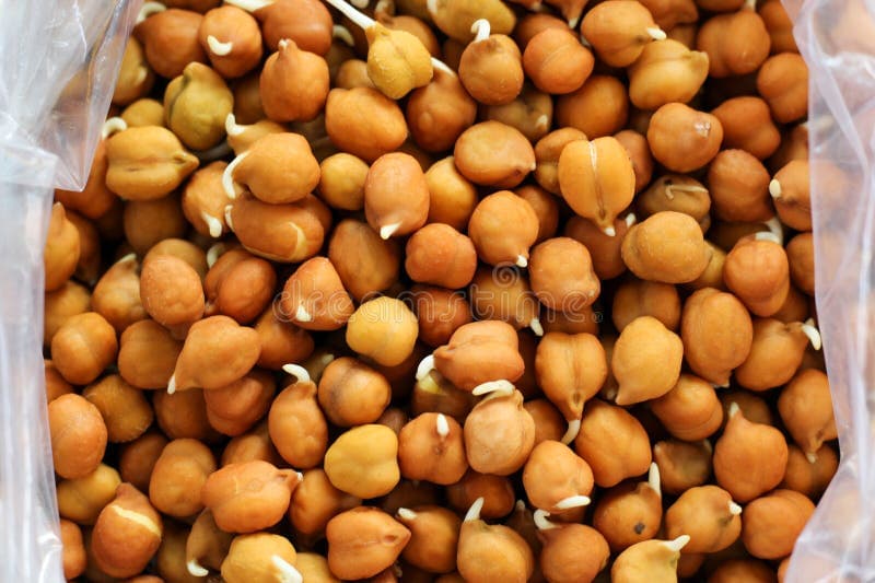 Chana Sprout - Produce