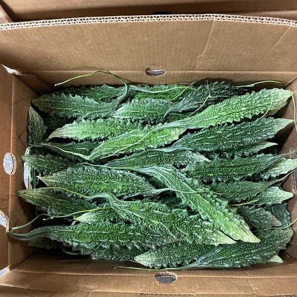 Karela Indian per lb - Produce
