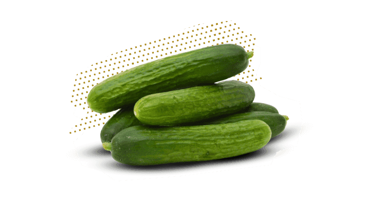 Cucumber English - Produce