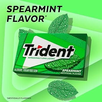 Trident Bubblegum 14pcs - Snacks