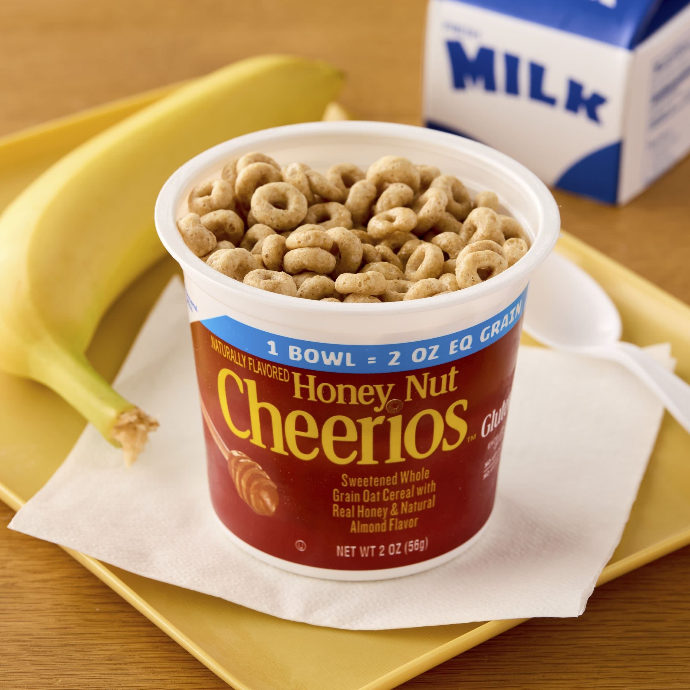 Honey Nut Cheerios 1.51kg - Others