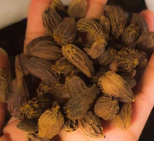 Kx Black Cardamom 100g - Spices and Herbs