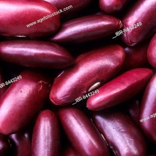 MOTHERS MAGIC Dark Red Kidney Beans 450g - Pulses