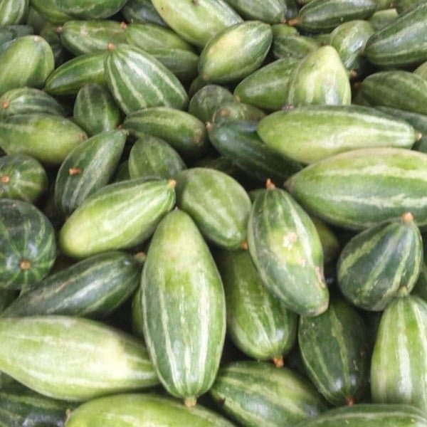 Parwar Indian 1lb - Produce