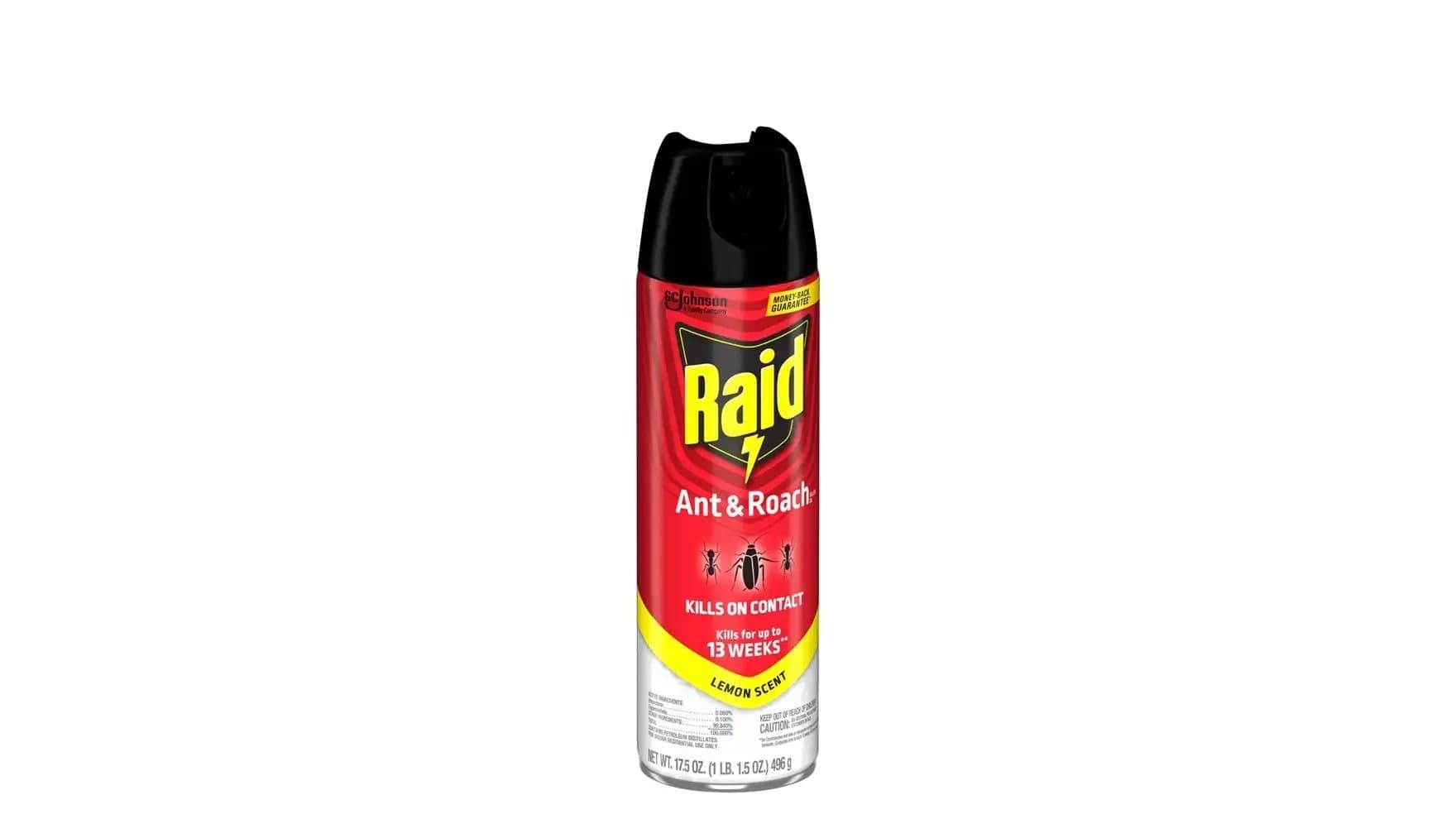 Raid Ant & Roach Killer 496g - Household