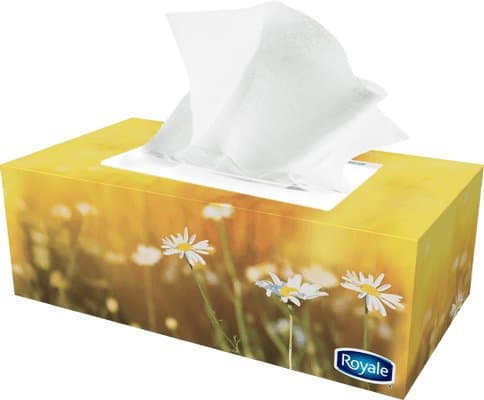 Royal Facial Tissue 126 Sheets - Household