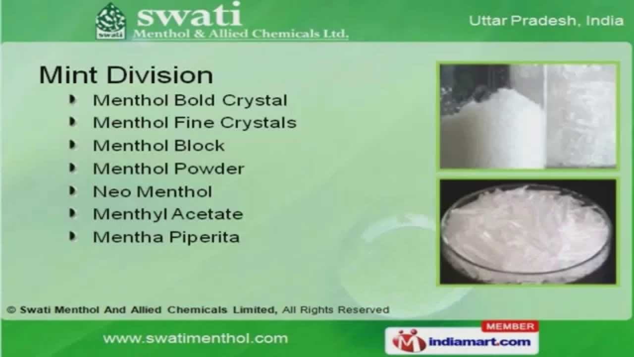 Swati Mint Powder 200g - Spices and Herbs