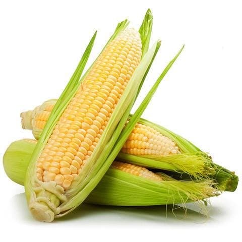 Sweet Corn Each - Produce
