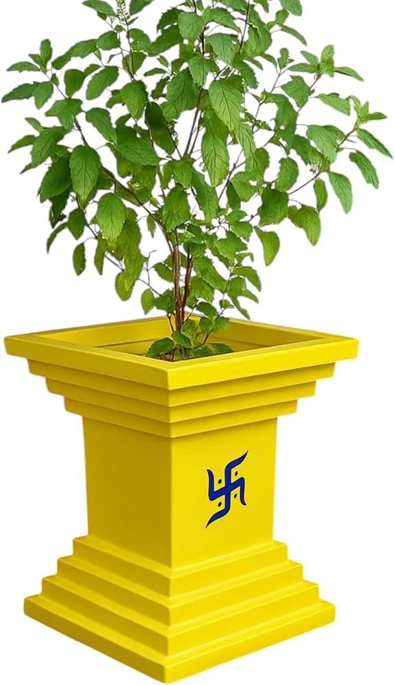 Tulsi Plant Big - KitchenReligious
