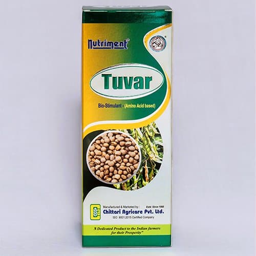 Tuvar Indian 1lb - Pulses