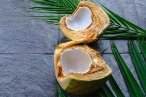 Hando Coconut Half - Condiments