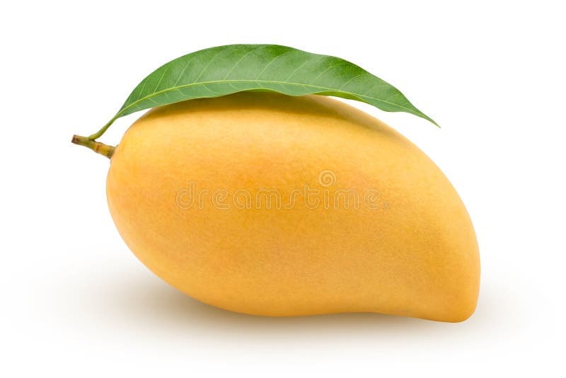 Alphonso Mango Each - Produce