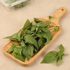 Basil Leaves - Spices and Herbs