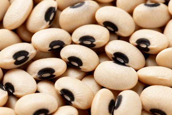 Black Eye Peas - Pulses