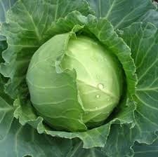 Cabbage Indian 1lb - Produce