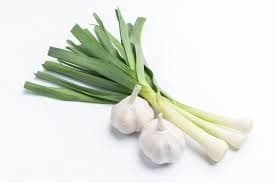 Green Garlic - Produce