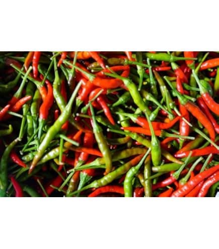 Green Pepper 1lb - Produce