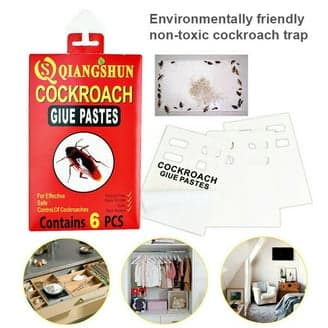 Cockroach Glue Trap - Household