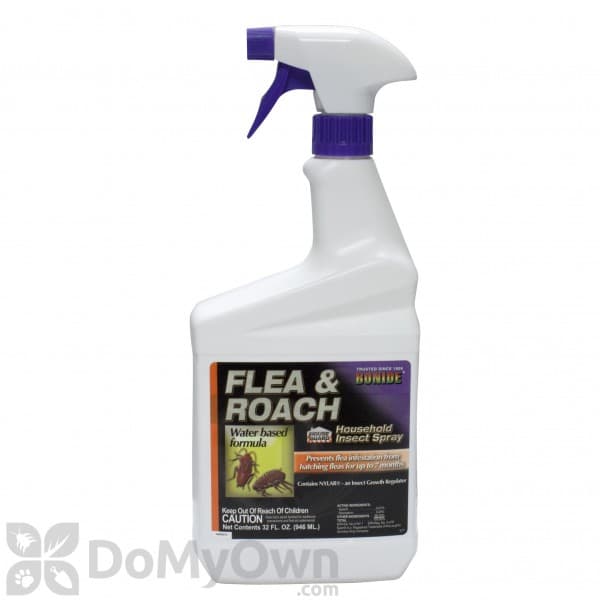 Cockroach Spray - Household