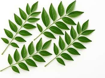 Curry Leaves Each - Produce