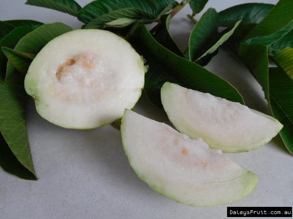 Guava - Produce