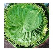 Kapoori Paan 10pcs - Pooja & Religious Items