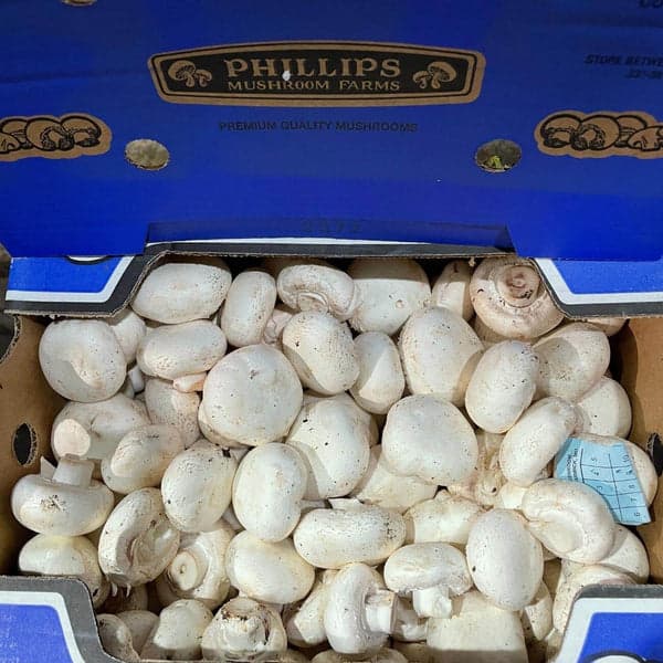 Mushroom Pack - Produce
