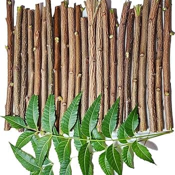Neem Leaves Fresh Packet - Produce
