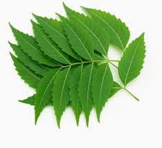 Zaika Neem Leaf 60g - Health & Care