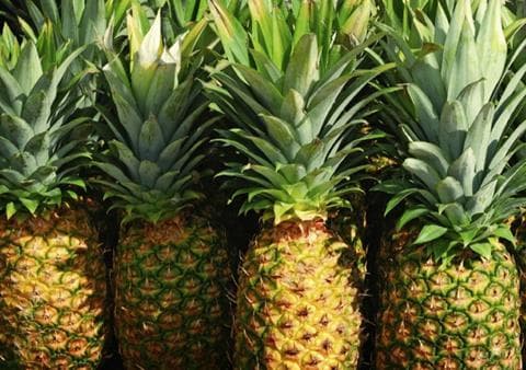 Pineapple - Produce