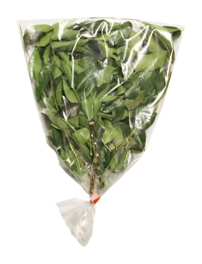 Curry Leaves Each - Produce