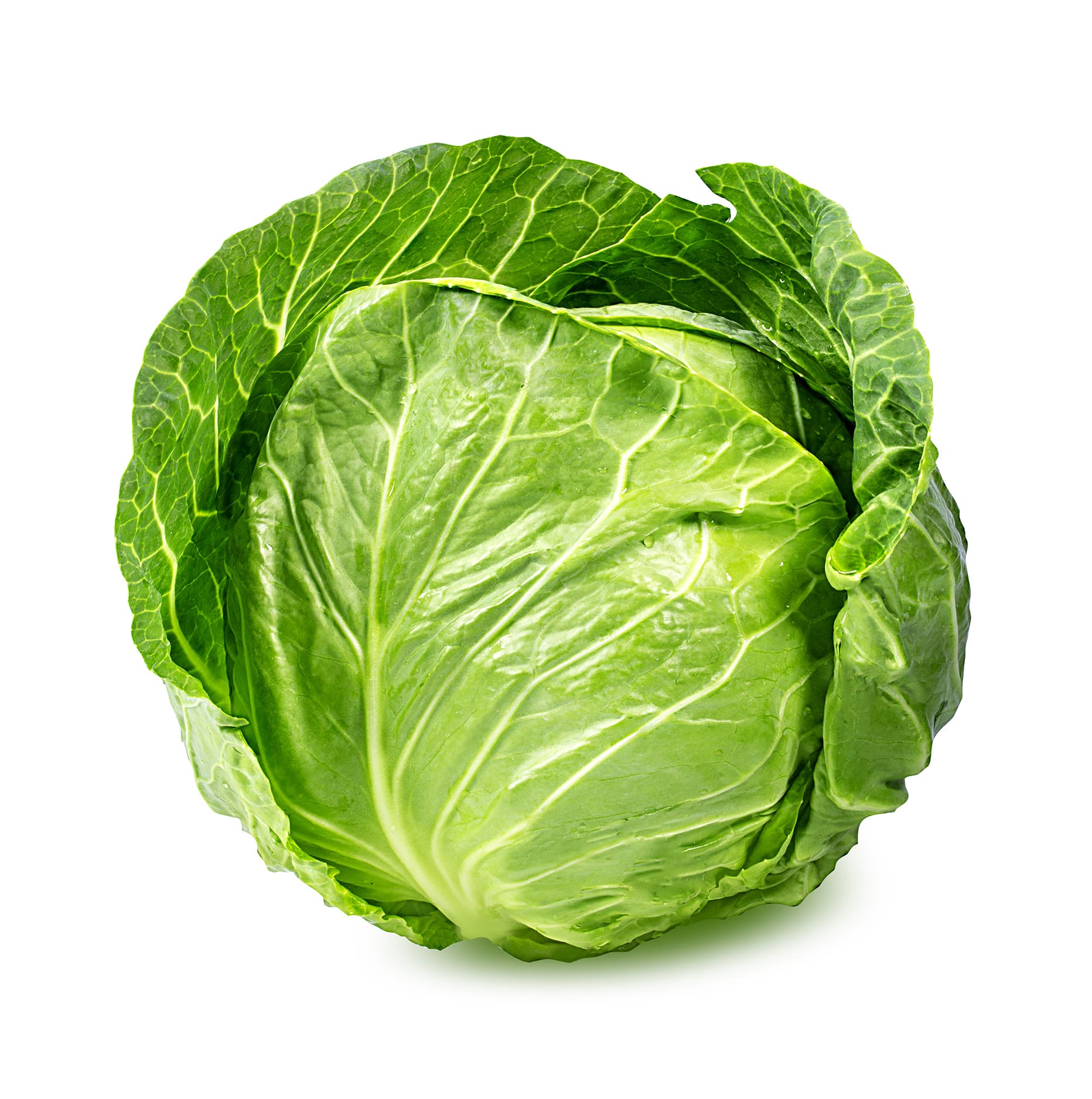 Cabbage Each - Produce