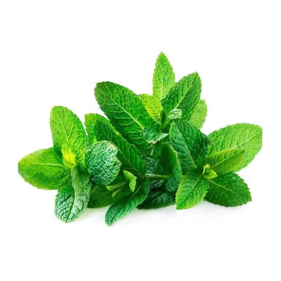 Mint Tea - Beverages
