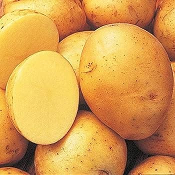 Potato 1lb - Produce