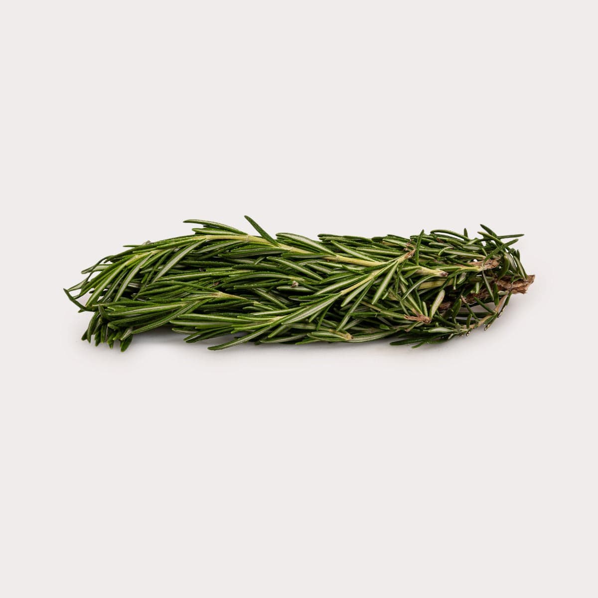 Rosemary Leaves - Spices and Herbs