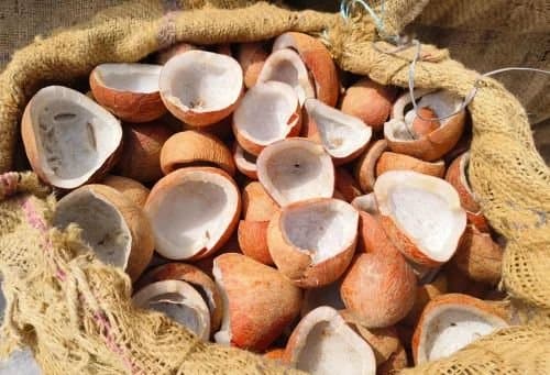 Coconut Dry Half - Cooking Essentials